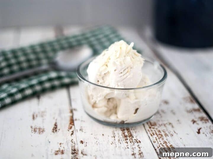25 Low Carb Ice Cream Recipes for Creamy Keto Desserts 3 coconut milk ice cream