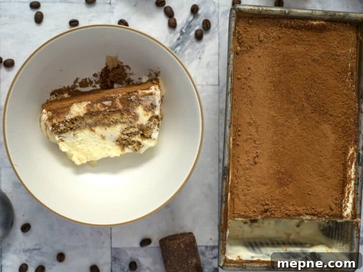 25 Low Carb Ice Cream Recipes for Creamy Keto Desserts 18 keto tiramisu ice cream