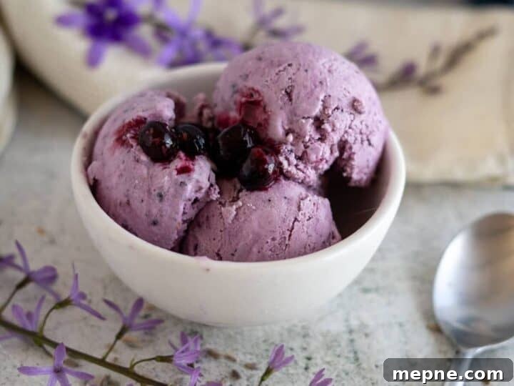 25 Low Carb Ice Cream Recipes for Creamy Keto Desserts 19 lavender ice cream in bowl with berries