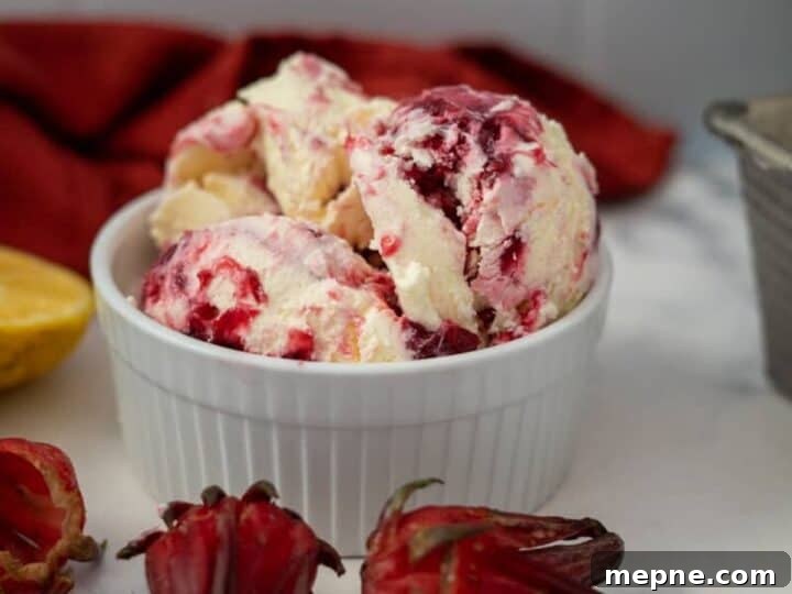 25 Low Carb Ice Cream Recipes for Creamy Keto Desserts 20 sorrel ice cream