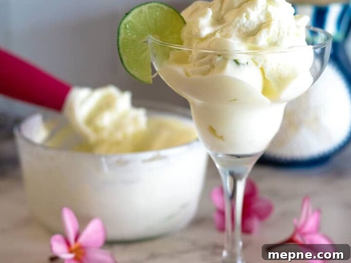 25 Low Carb Ice Cream Recipes for Creamy Keto Desserts 4 sugar free margarita ice cream