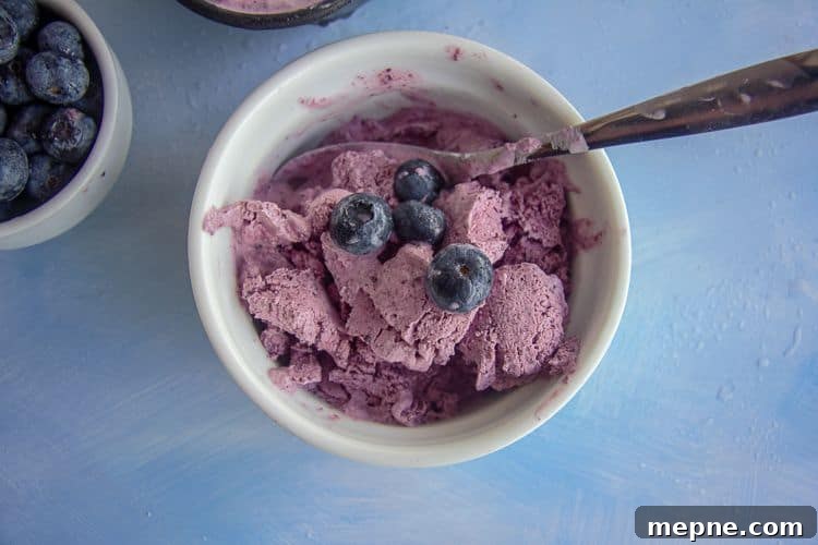 25 Low Carb Ice Cream Recipes for Creamy Keto Desserts 5 blueberry ice cream