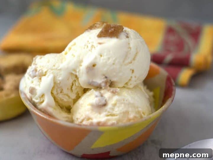 25 Low Carb Ice Cream Recipes for Creamy Keto Desserts 7 ginger ice cream