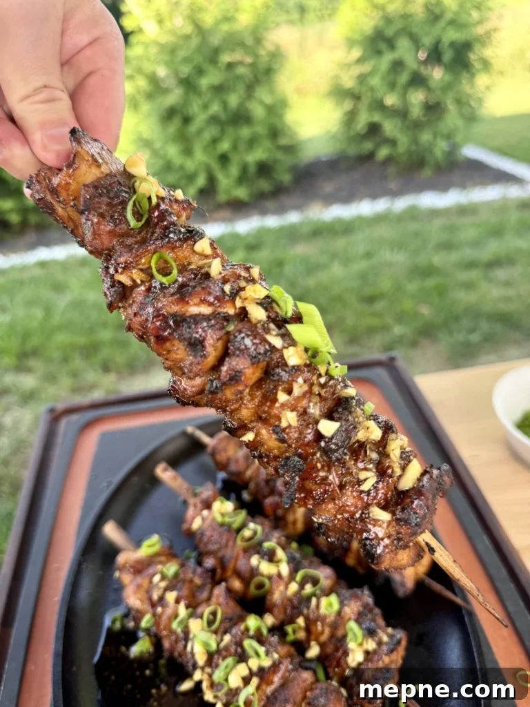 up close on the chicken skewers with green shrubs in the background