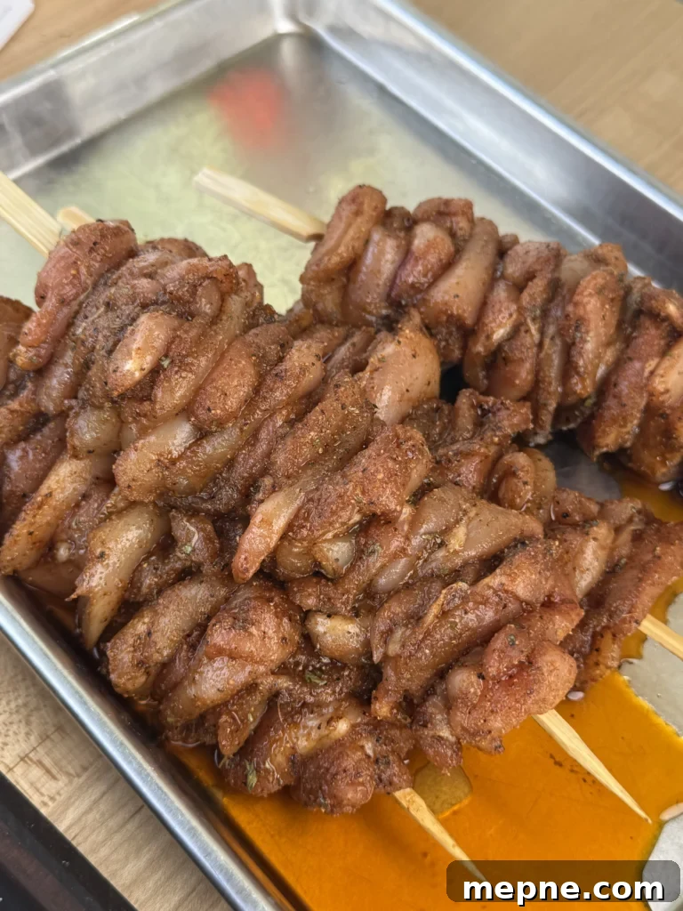 chicken on the wooden skewers with the honey garlic sauce