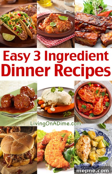 These 3 ingredient dinner recipes will make it easy to make cheap and delicious meals your family will love without spending a lot of time in the kitchen!