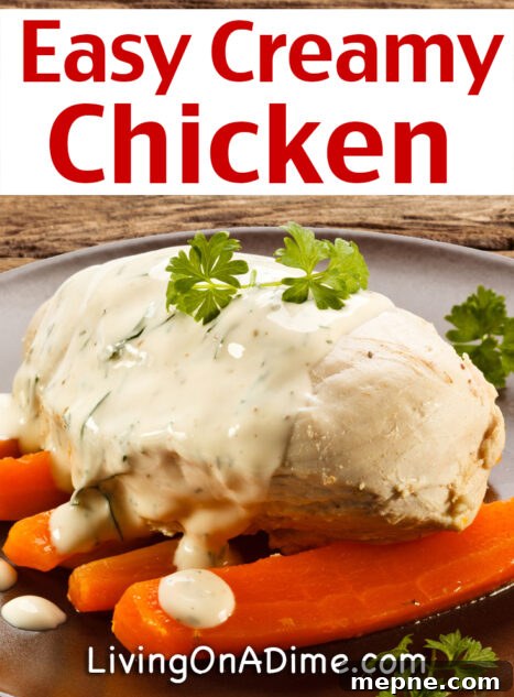 This easy creamy chicken recipe is quick and easy to make. It takes just a few minutes to prepare and then bake. It's perfect served with your favorite vegetable for an easy chicken dinner your family will love!