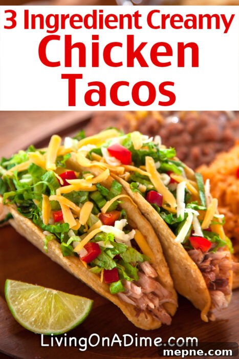 This easy 3 ingredient creamy chicken tacos recipe makes creamy and delicious chicken tacos, perfect for families! Just dump everything into the crockpot in the morning and dinner will be waiting!