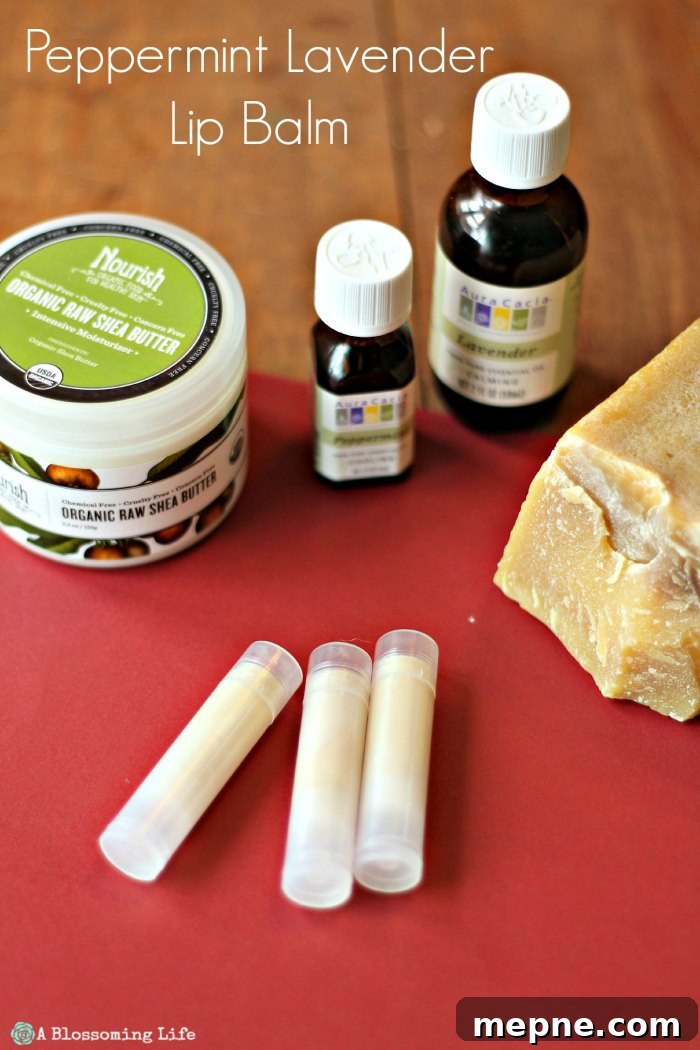 3 tubes of DIY Lip Balm on red paper with beeswax and shea butter behind it