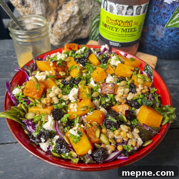 Roasted Butternut Squash Grain Bowl with Hot Honey Drizzle 2 butternut squash cubes with feta, dried cherries, red cabbage and grains in red bowl with honey and dressing