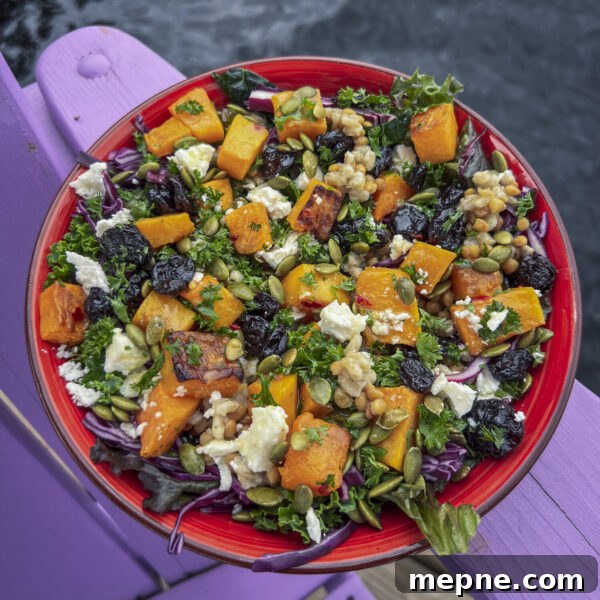 Roasted Butternut Squash Grain Bowl with Hot Honey Drizzle 3 butternut squash with whole grain, lentil, dried fruit, greens in red bowl on purple chair over water