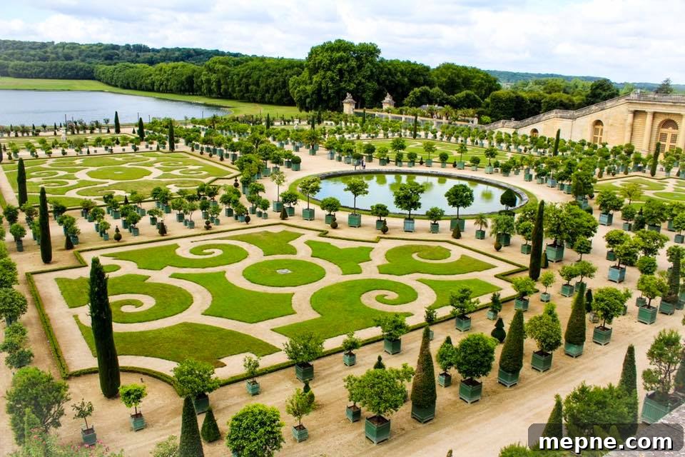 Join Me in Burgundy: Wine, Villages and Travel Tips 3 img 38268 2
