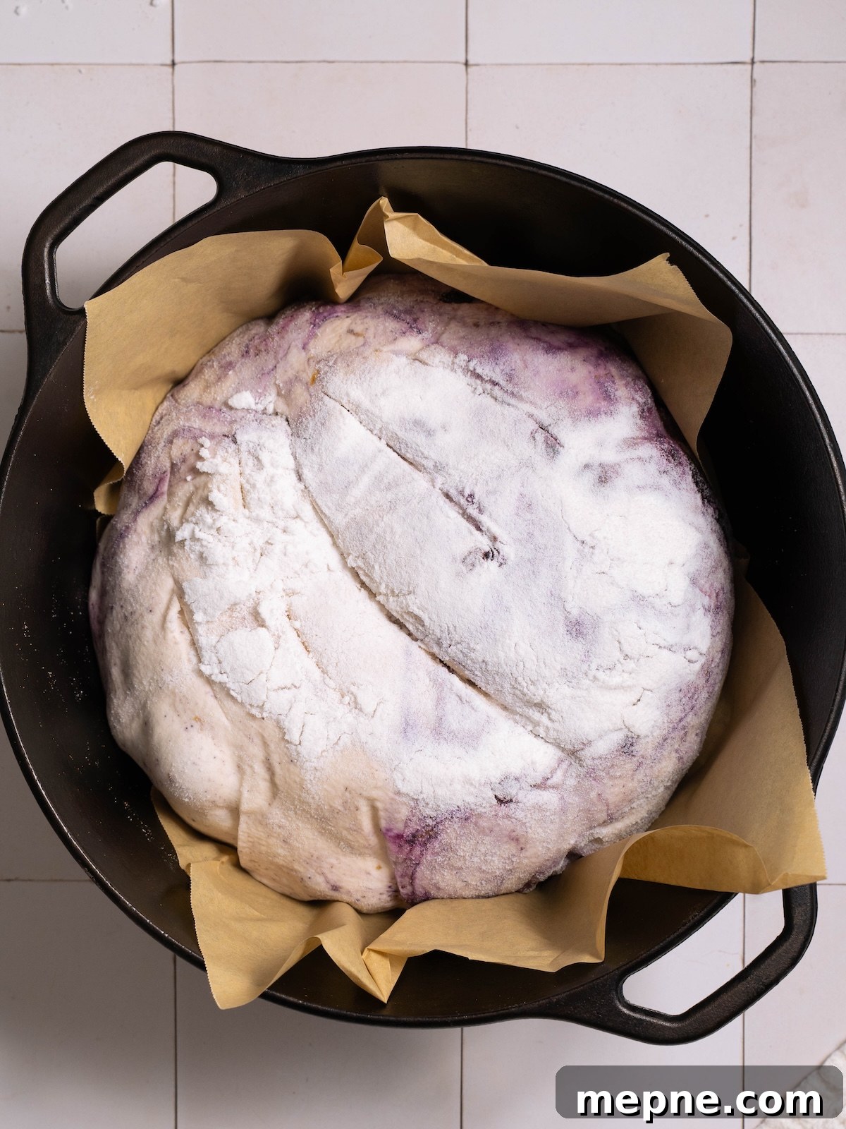 Homemade Blueberry Sourdough Bread Recipe 11 Sourdough blueberry bread scored and ready to bake in a Dutch oven