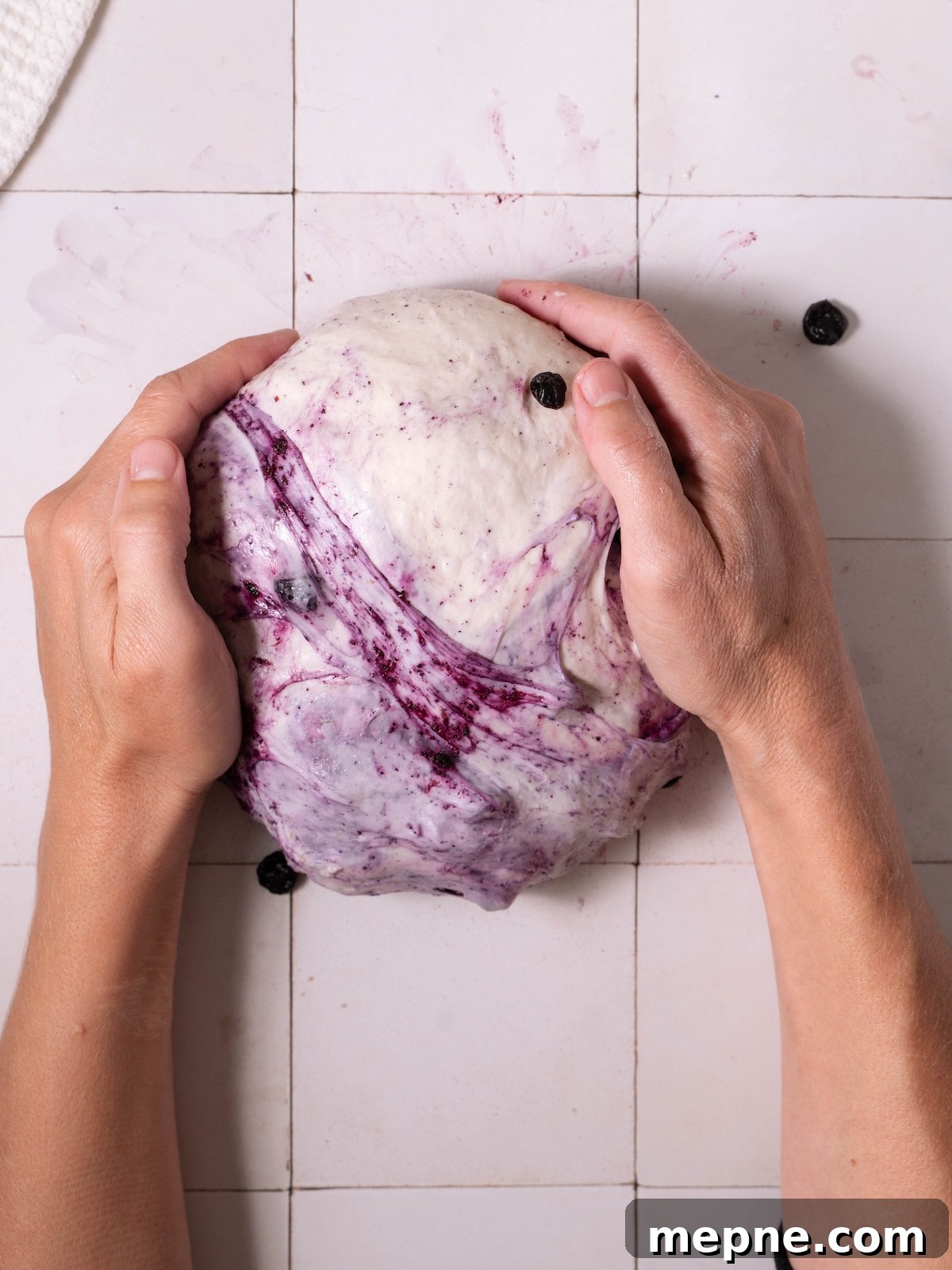 Homemade Blueberry Sourdough Bread Recipe 9 Shaping sourdough bread into a boule