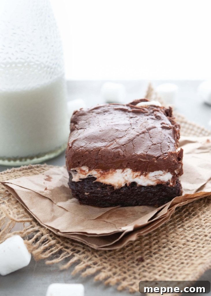 nut-free-mississippi-mud-brownies
