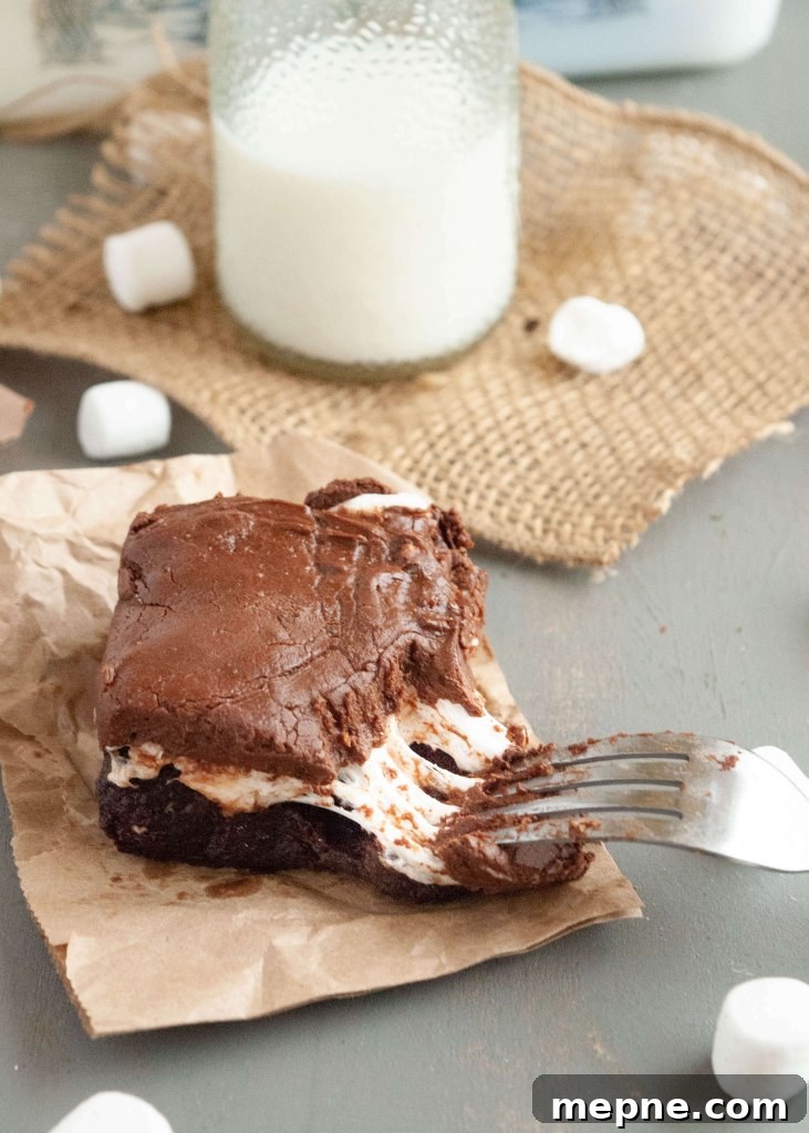 allergy-friendly-mississippi-mud-brownies