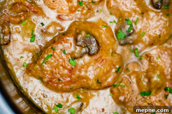 Tender Slow Cooker Swiss Steak Recipe 3 Macro shot of tender slow cooker Swiss steak in mushroom gravy.