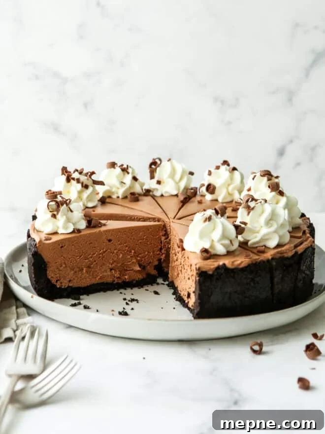 Moist Chocolate Olive Oil Cake Recipe 10 side view of no-bake chocolate cheesecake