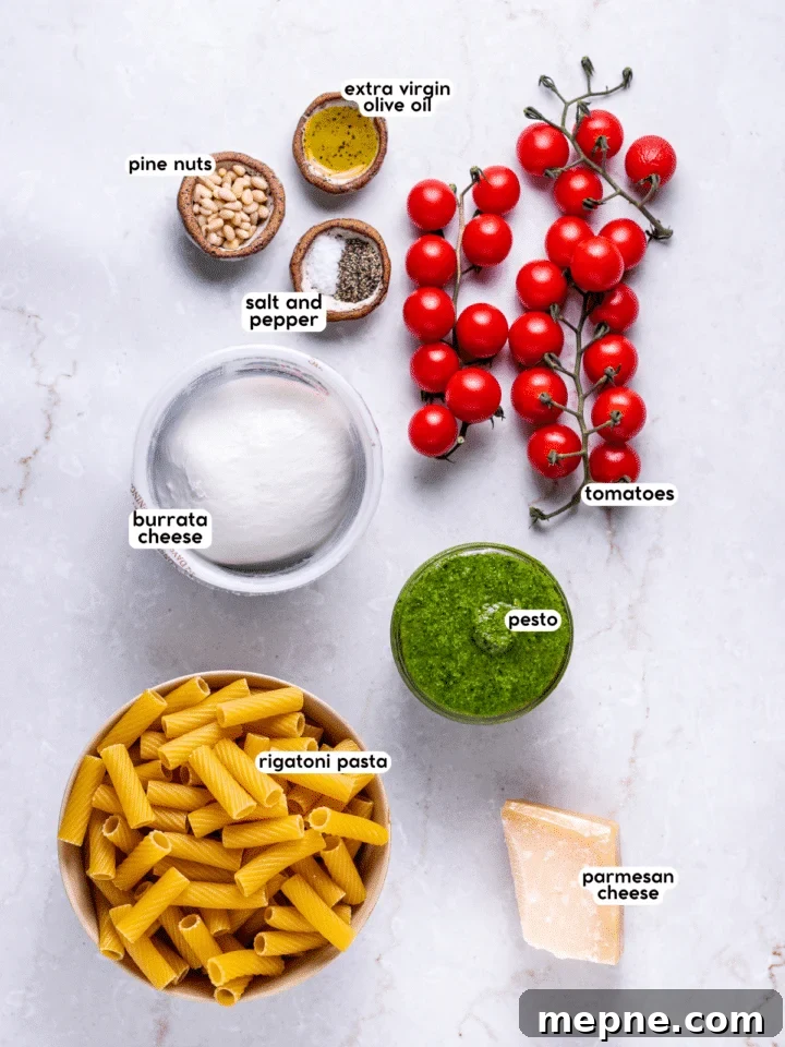 Pesto Rigatoni with Burst Cherry Tomatoes and Burrata 4 picture of the ingredients needed to make the featured recipe
