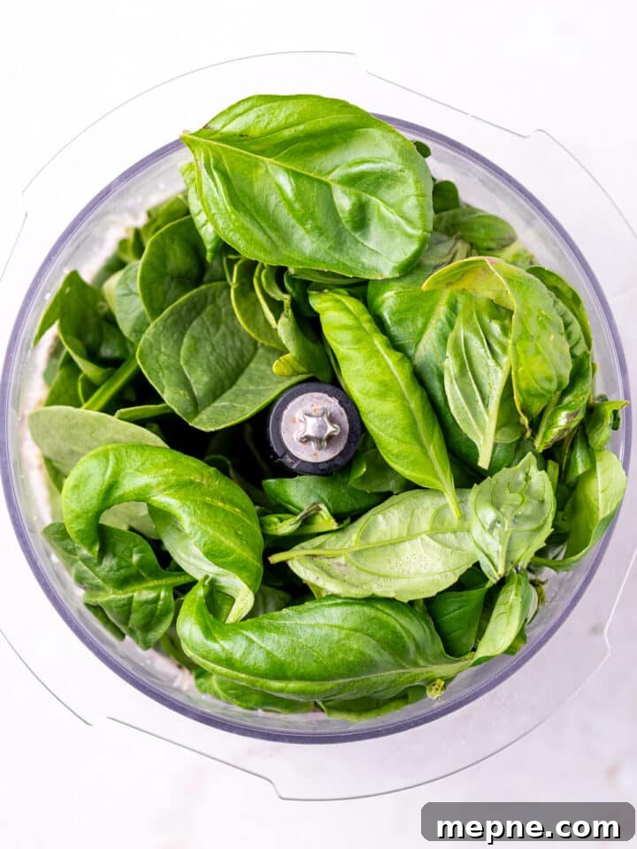 Pesto Rigatoni with Burst Cherry Tomatoes and Burrata 7 fresh basil and other pesto ingredients in a food processor