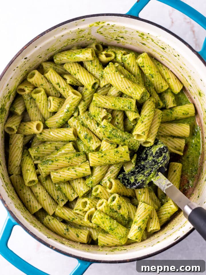 Pesto Rigatoni with Burst Cherry Tomatoes and Burrata 10 large pot with pesto rigatoni pasta