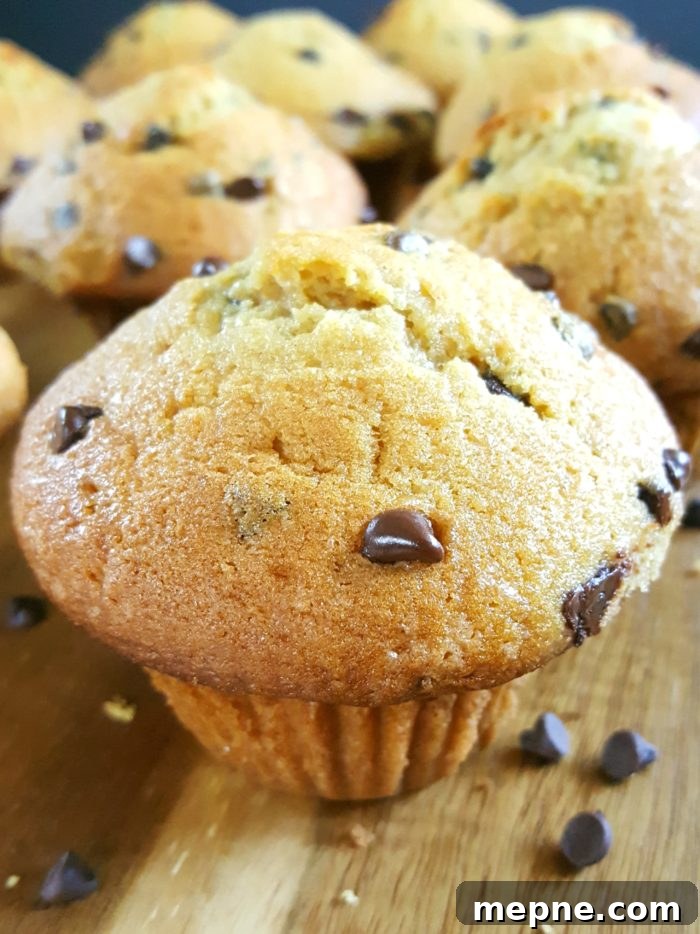 Why Didn't My Muffins Rise? Causes and Fixes 8 The Best Bakery Style Sour Cream Chocolate Chip Muffins from scratch - Moist homemade jumbo muffins with big tops made with sour cream (or greek yogurt), brown sugar, & no buttermilk. Simple & easy recipe, perfect for breakfast. | Beat Bake Eat