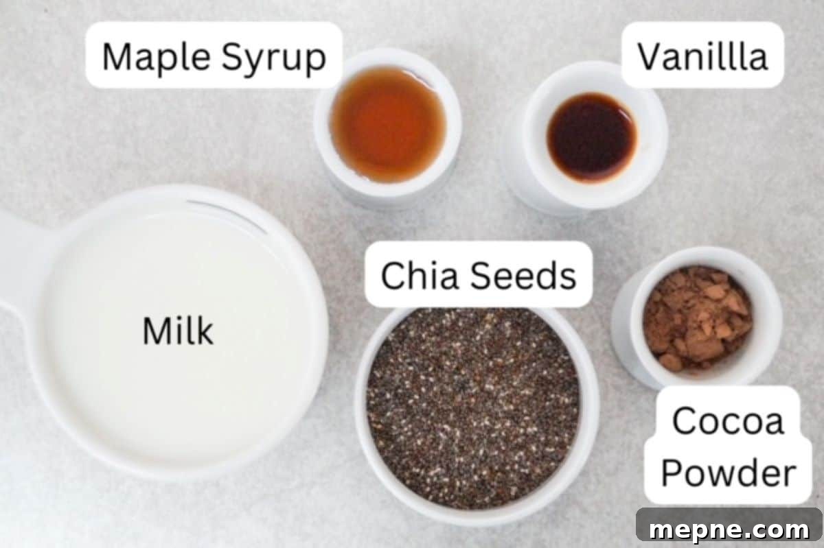 Milk in a white measuring cup, (labeled), maple syrup in a small white dish, (labeled), vanilla in a small white dish (labeled), chia seeds in a white bowl (labeled), and cocoa powder in a small white dish (labeled).