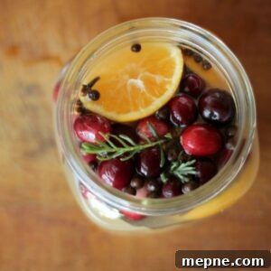 Thanksgiving simmer pot hostess gift idea