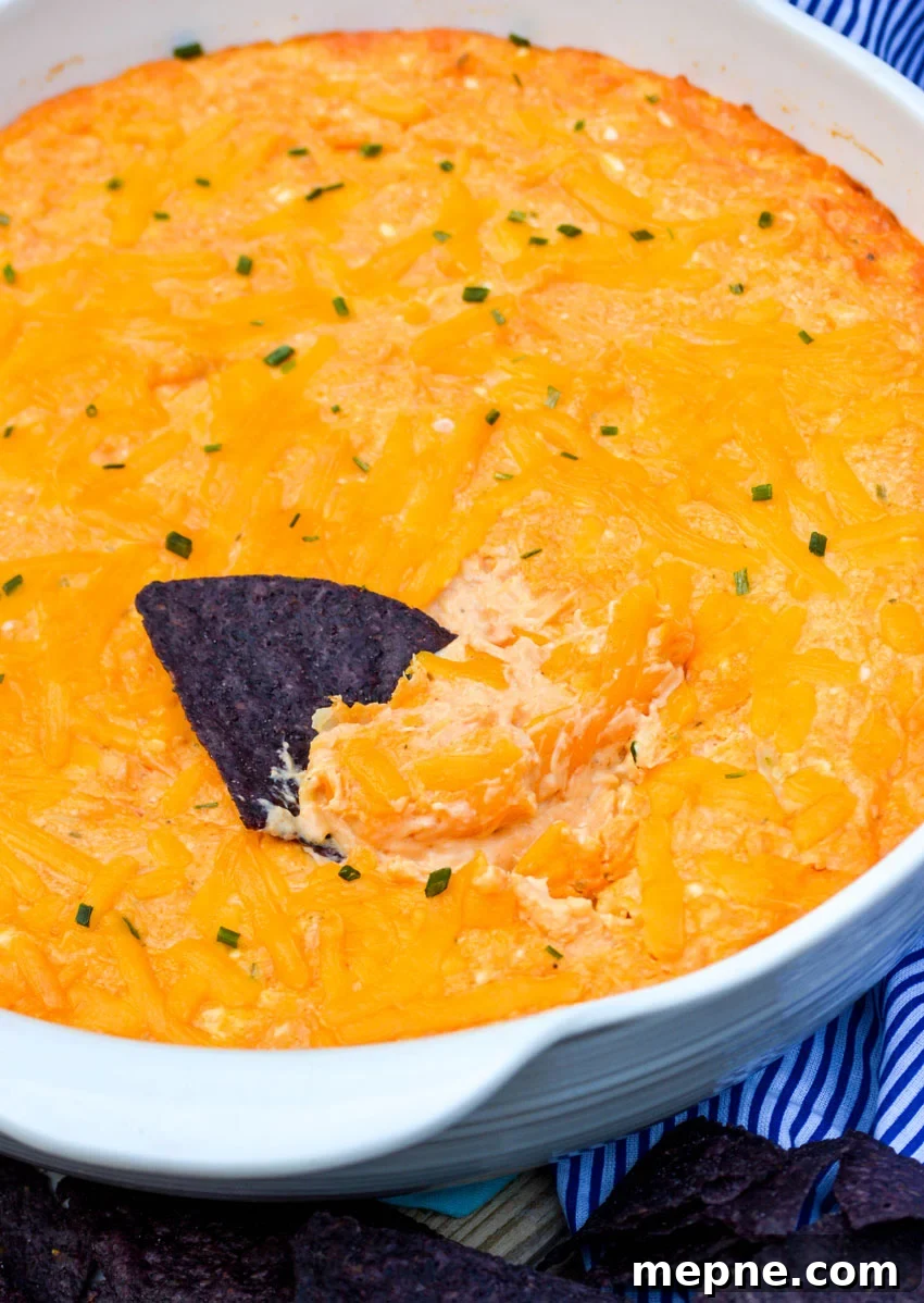 a blue corn tortilla chip dipped in the middle of a big bowl of creamy buffalo chicken dip