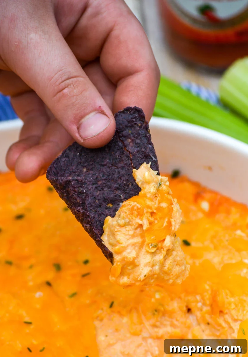 a hand holding up a blue corn tortilla chip covered in the best buffalo chicken dip
