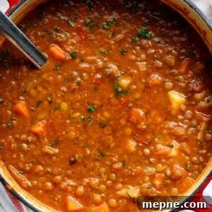 Hearty Lentil Soup Recipe with Vegetables 13 The best lentil soup recipe is naturally thick and loaded with vegetables
