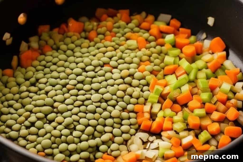 Hearty Lentil Soup Recipe with Vegetables 6 Adding green lentils to the pot