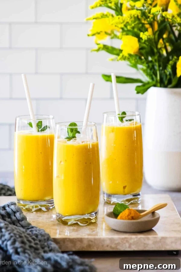 Fresh Mango Salsa Recipe: Sweet, Zesty, Bright 6 Mango Pineapple Smoothie