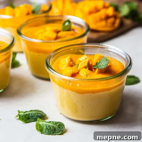 Fresh Mango Salsa Recipe: Sweet, Zesty, Bright 7 Mango mousse