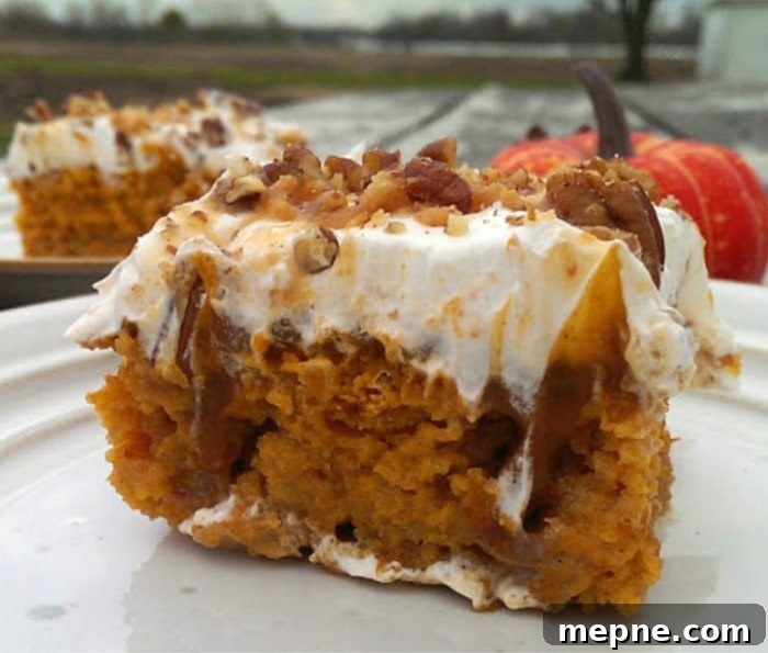Pumpkin Poke Cake with Butter Pecan Drizzle 3 Pumpkin Butter Pecan Poke Cake