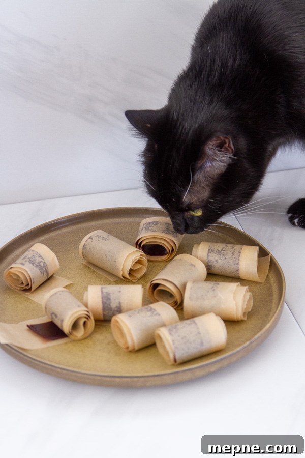 How to Make Strawberry Fruit Roll-Ups 4 black cat sniffing a plate full of fruit roll ups