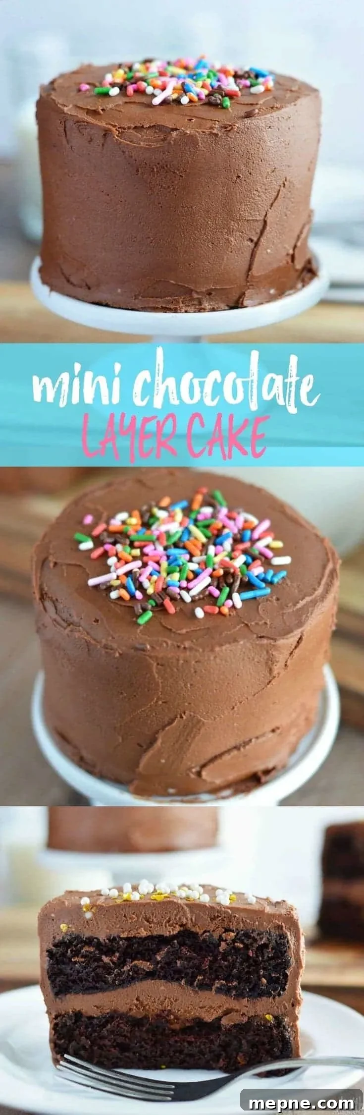Mini Chocolate Layer Cake Recipe: Decadent and Moist 8 Mini Chocolate Layer Cake collage