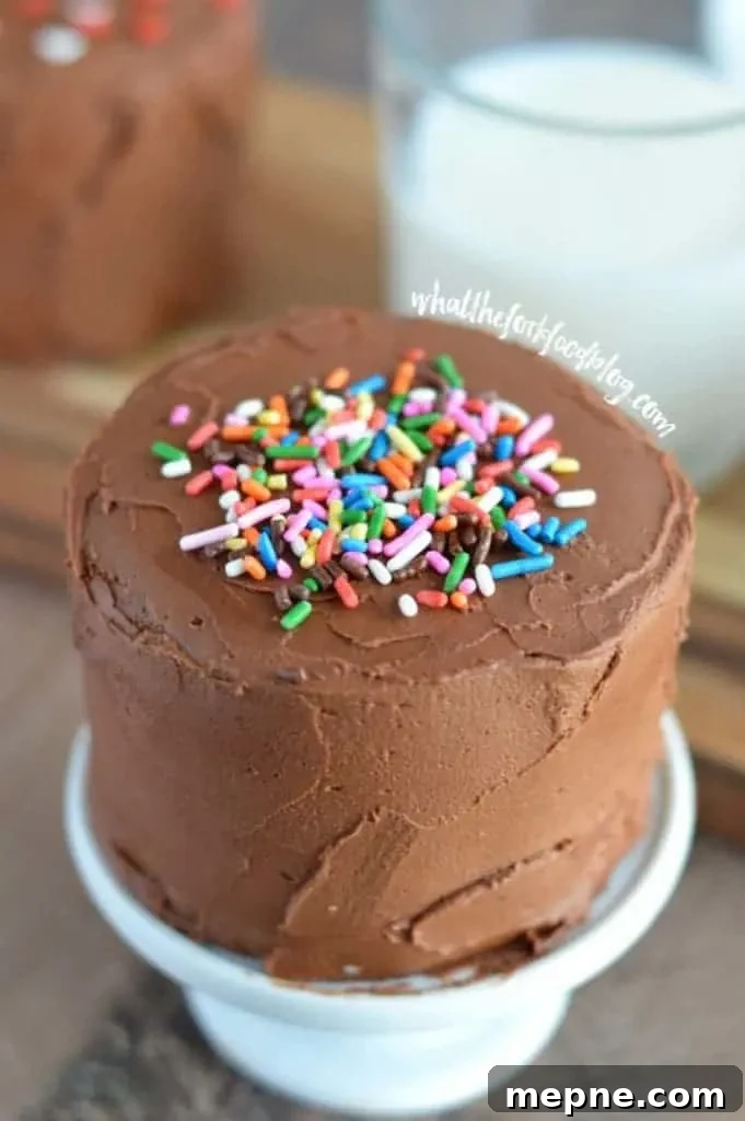 Mini Chocolate Layer Cake Recipe: Decadent and Moist 3 Mini Chocolate Layer Cake cut