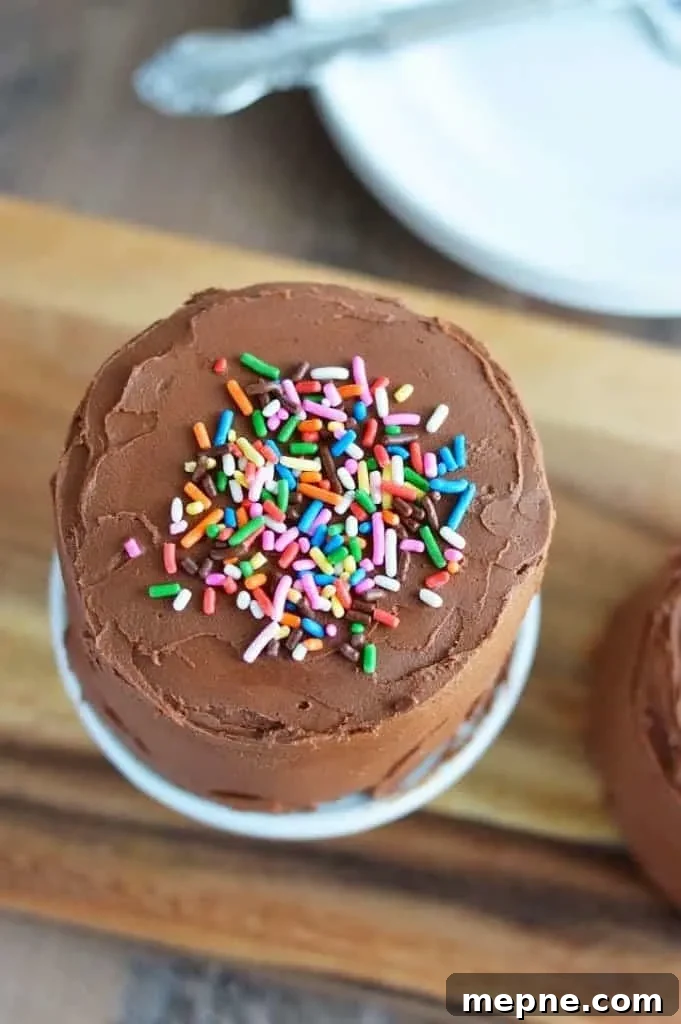 Mini Chocolate Layer Cake Recipe: Decadent and Moist 4 Mini Chocolate Layer Cake slice