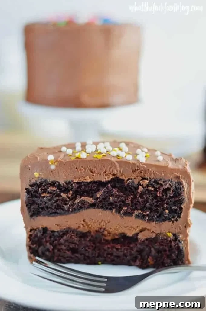 Mini Chocolate Layer Cake Recipe: Decadent and Moist 5 Mini Chocolate Layer Cake whole