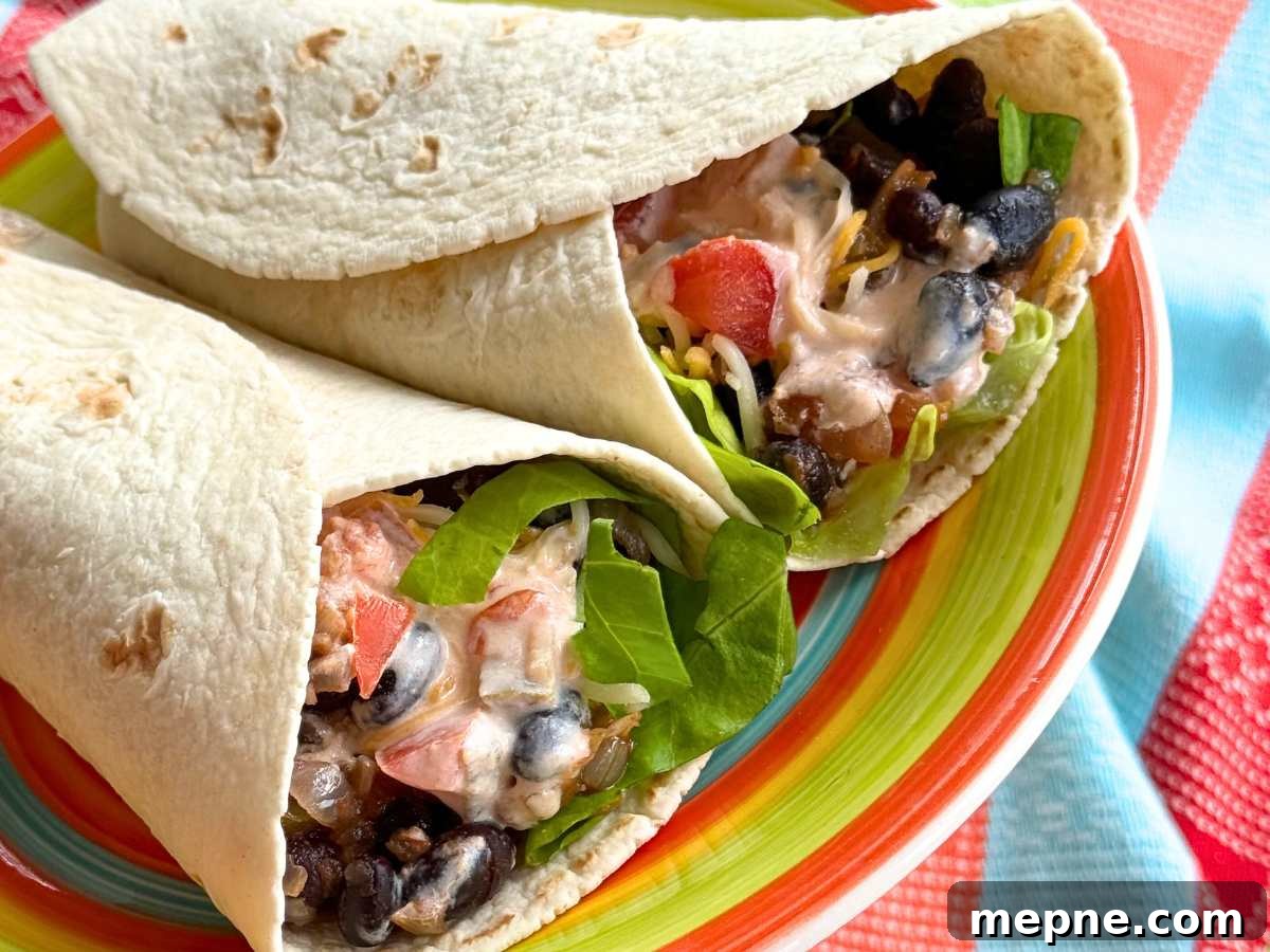 Two vegetrian black bean wraps on a colorful plate with sauce dripping out.