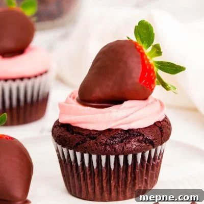 Close up photo of chocolate covered strawberry cupcakes on a white plate.