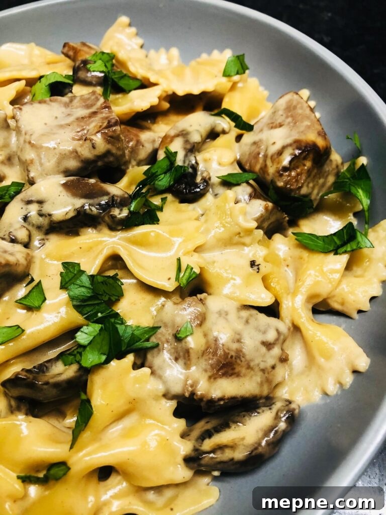 One-Pan Philly Cheesesteak Pasta Recipe 13 One Pot Steak and Mushroom Pasta
