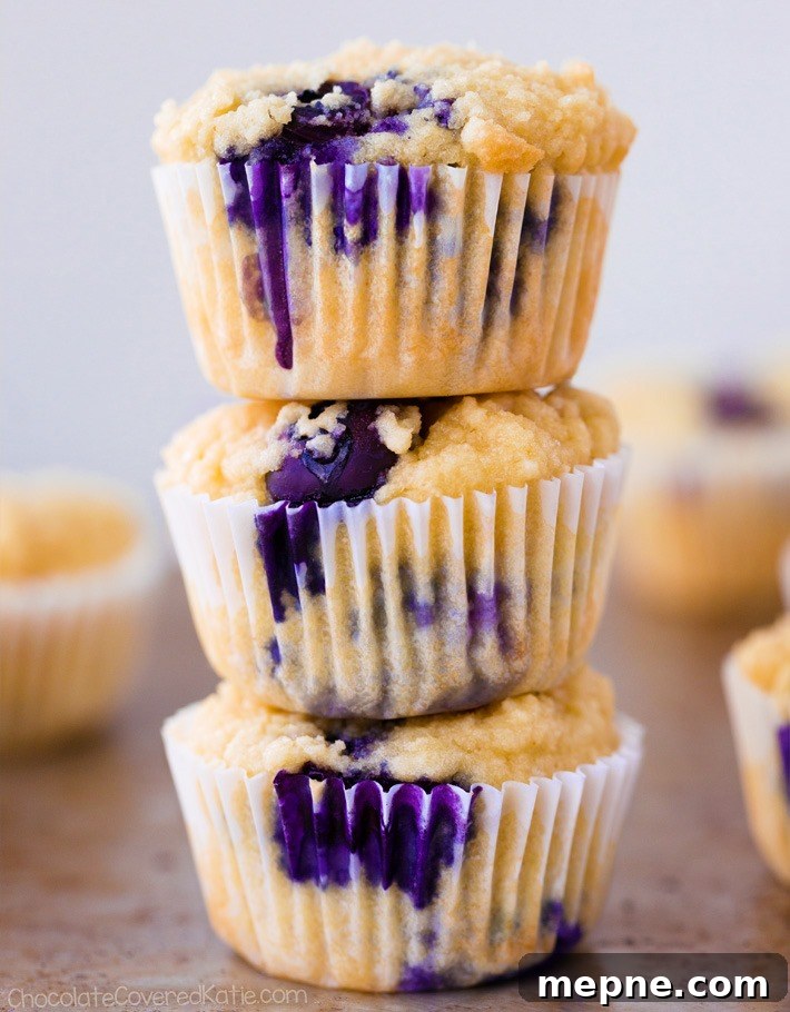 The Best Keto Low Carb Blueberry Muffins Keto Blueberry Muffins