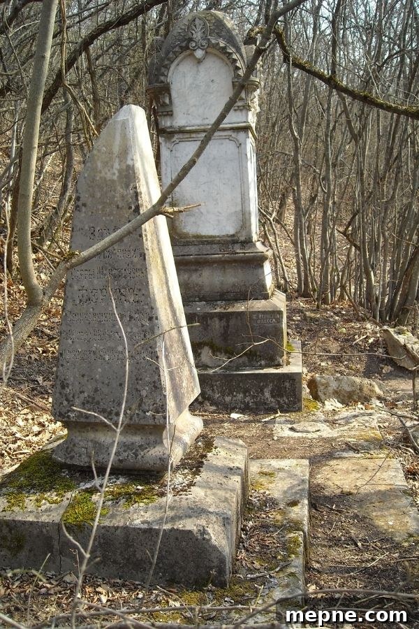 Old broken tombstones in overgrown cemetery in winter
