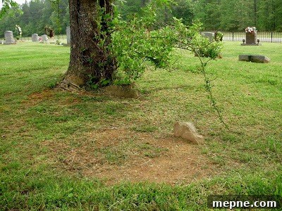 Field stone placed near tree in cemetery representing old gravestone