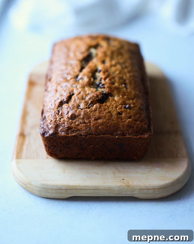 Mom's Chocolate Chip Banana Bread Recipe 2 chocolate chip banana bread