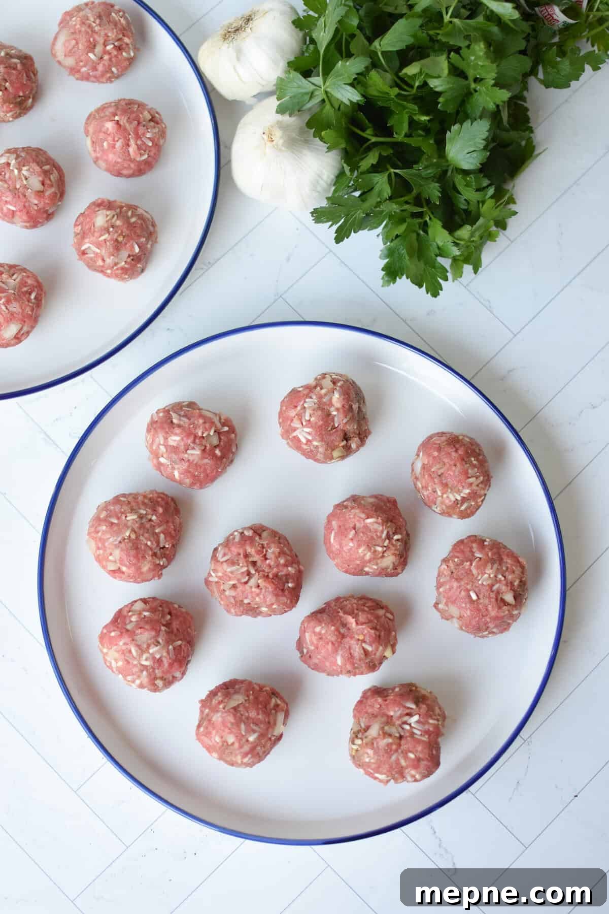 Classic Porcupine Meatballs Recipe with Rice 7 Porcupine Meatballs on a plate