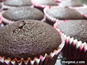 Moist Chocolate Cupcakes with Rich Cocoa Flavor 3 Chocolate cupcake with rich chocolate frosting