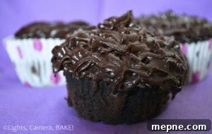 Moist Chocolate Cupcakes with Rich Cocoa Flavor 4 Chocolate cupcakes topped with chocolate frosting